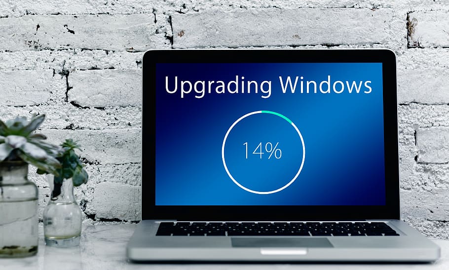 Reasons Why Software Updates Are Important