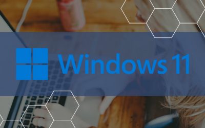 Windows 11 is Here … Now What?